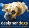 Go to record Designer dogs : portraits and profiles of popular new cros...