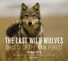Go to record The last wild wolves : ghosts of the rain forest