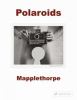 Go to record Polaroids : Mapplethorpe
