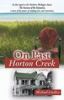 Go to record On past Horton Creek
