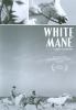 Go to record White mane