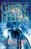 Go to record Dark curse : a Carpathian novel