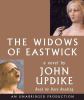 Go to record The widows of Eastwick a novel