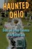 Go to record Haunted Ohio : ghosts and strange phenomena of the Buckeye...